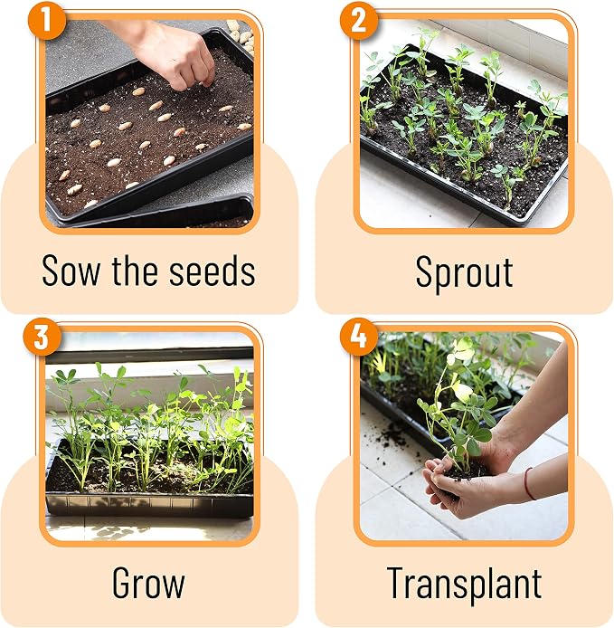 Mr. Pen- Seed Starter Trays, 5 Pack, 17"x10"x2.4", Durable Plastic Growing Trays, Stackable and Reusable Seedling Starter Kits for Indoor, Outdoor, Greenhouse Gardening, Planting, Hydroponic Systems