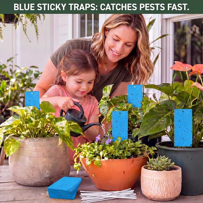 Qualirey 100 Pcs 7.87 x 3.9 Inch Blue Sticky Traps for Thrips Double Sided Sticky Trap for Gnats Plant,Thrips, Aphids, and Black Flies with Twist Ties,Indoor and Outdoor