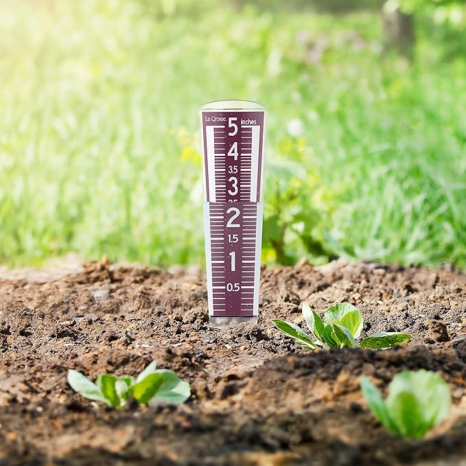 La Crosse 704-1531R-INT Large Magnifying Easy Read 5-Inch Capacity Acrylic Rain Gauge in Burgundy
