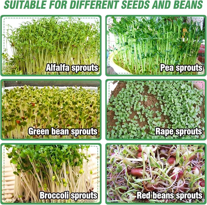 Aulock Stainless Steel Seed Sprouting Kit - 3-Tier Microgreens Growing Tray 7.9 in Dia, Stackable Round Sprouter Maker with Encrypted Mesh, Sprouts Grower for Beans Broccoli Alfalfa Seeds Wheat Grass