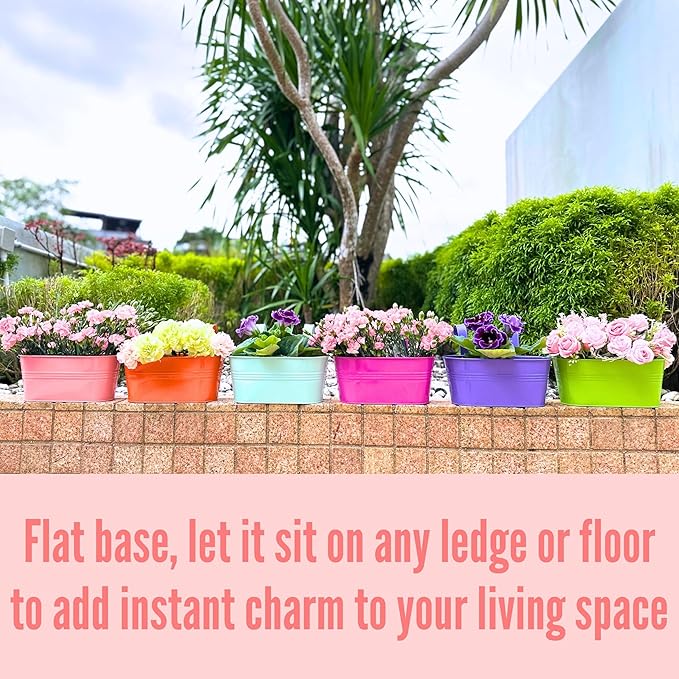 LaLaGreen Rail Planter (11.8 Inch, 6 Pack) Colorful Metal Hanging Flower Pots Railing Fence Balcony Gardening for Apartment Patio Planters Modern Garden Style Iron Outdoor Decoration Porch Decor