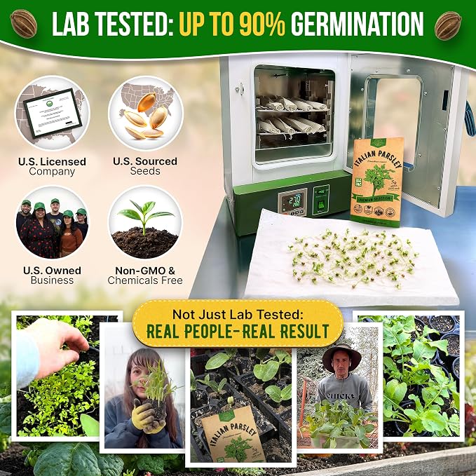 Organo Republic Italian Parsley Seeds Pack 5G - Over 2,000 Non-GMO Heirloom Parsley Seeds for Planting Herbs in Individual Seed Packet, Herbs Seeds for Planting Home Garden Indoor & Outdoor Gardening