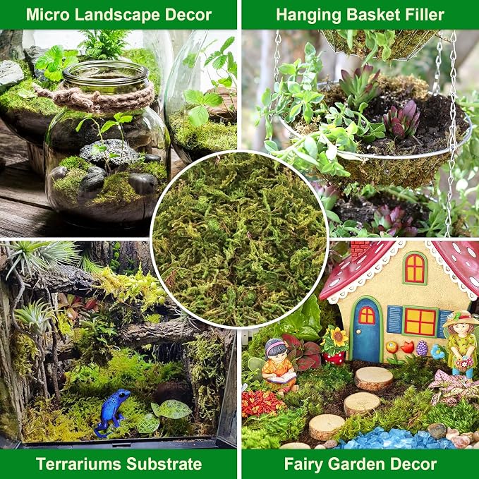 Legigo 7OZ Sphagnum Moss for Plants, 10QT Natural Orchid Moss Potting Mix Dried, Green Forest Plant Moss for Orchid Repotting Carnivorous Succulents Indoor Potted Plants Gardening and Reptiles