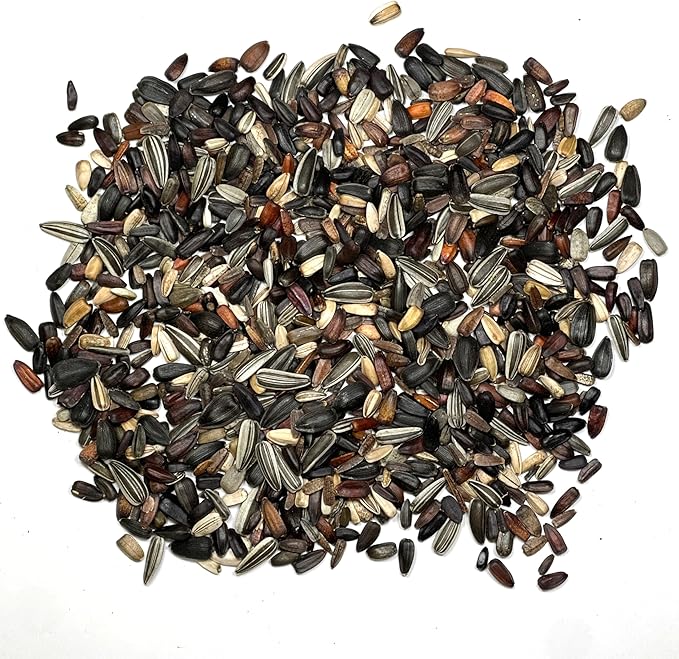 Seed Needs Sunflower Seeds for Planting The Original Crazy Blend | 1 Ounce 15+ Heirloom Varieties Open Pollinated & Untreated | Resealable Bulk Package Multicolored Blooms Flower Seeds