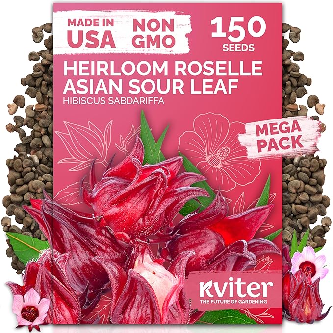 KVITER 150 Roselle Seeds for Planting (Hibiscus Sabdariffa) – Jamaican Sorrel/Cranberry Hibisco Seeds/Gongura Seed/Sour Leaf Seed – Perfect for Hibiscus Tea, Outdoor & Indoor Garden