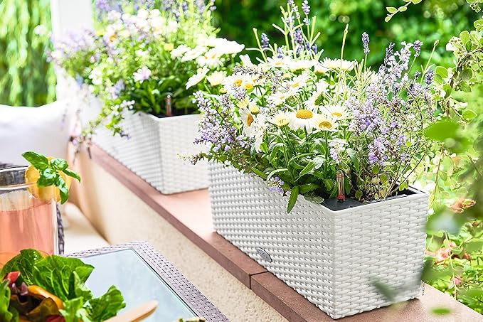 Lechuza BALCONERA Cottage 50 White, Self-Watering Window Box (Railing Planter), H7.5 L19.7 W7.5 in