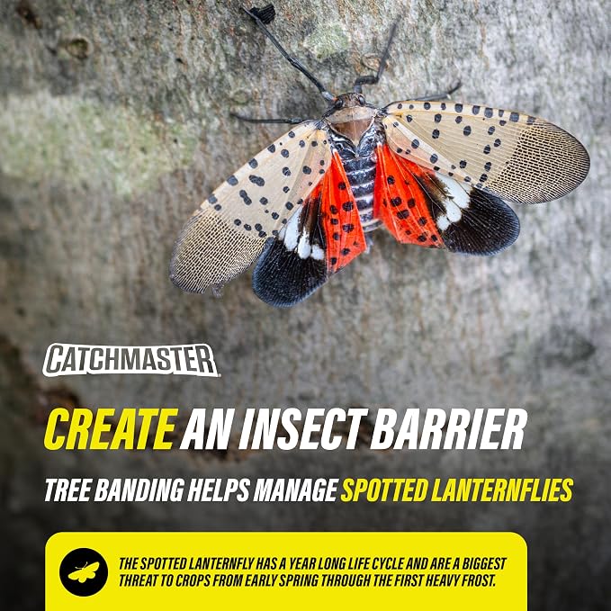 Catchmaster Tree Banding Insect Barrier DIY Kit 4Pk, 15oz., Spreader, 1Kft Roll Plastic Wrap, Lanternfly & Ant Traps, Outdoor Adhesive Crawling Insect Trap to Protect Trees, Fruit & Plants