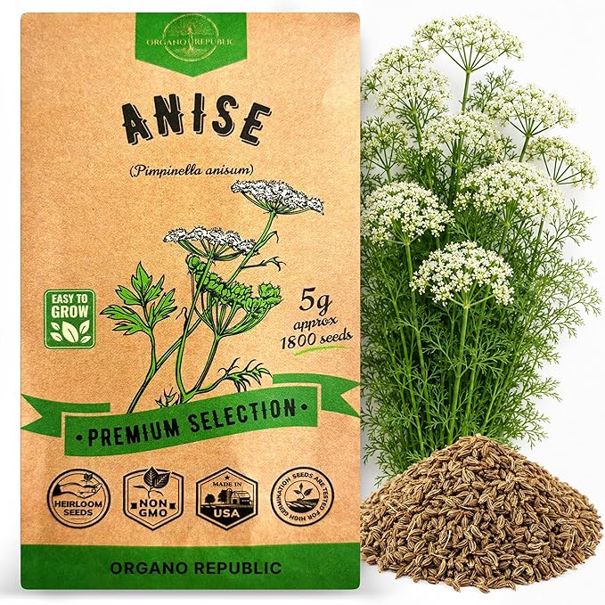 Organo Republic Anise Seeds Pack 5G - Over 1800 Non-GMO Heirloom Anise Seeds for Planting Herbs in Individual Seed Packet, Herbs Seeds for Planting Home Garden Indoor & Outdoor Gardening