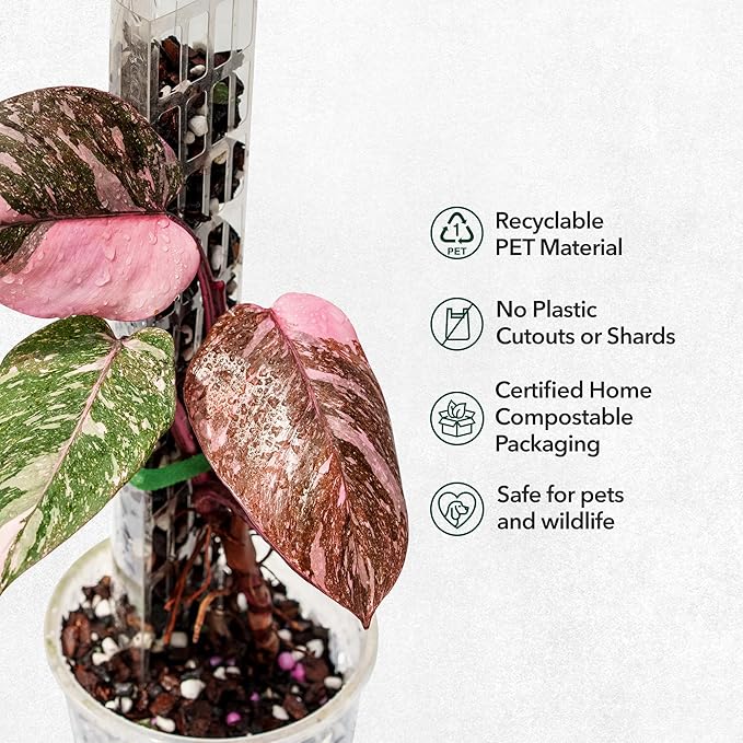 THICCLY V2 GrowPole Medium 5 Pcs – Patented D-Shape Moss Pole for Climbing Plants, Moisture-Locking Closed Back, Stackable Monstera & Philodendron Support