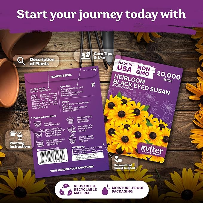 KVITER 10,000 Black Eyed Susan Seeds for Planting (Rudbeckia hirta) – Gloriosa Daisy Wildflower Seed, Heirloom, Non-GMO – Flower Seeds to Plant Outside & Inside, Borders, Containers