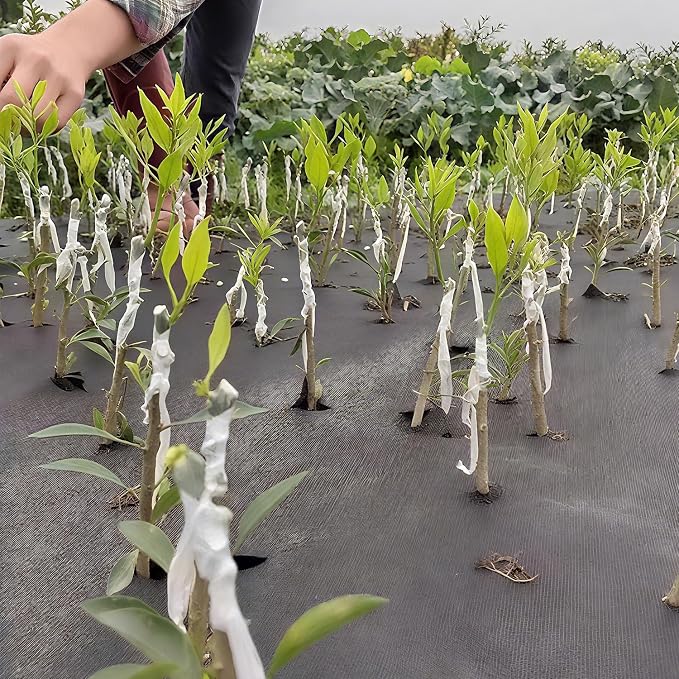 2 Pcs Plant Tape,Parafilm Grafting Tape for Fruit Trees,Floral Tape Grafting Tools,Membrane Clear Floristry Film