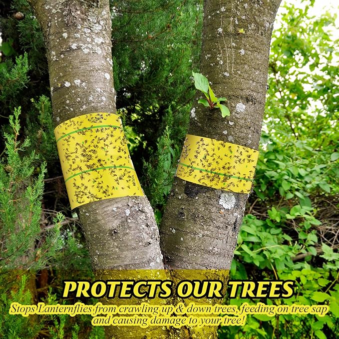 12 Rolls Spotted Lantern Fly Tree Trap 30 Feet Each Roll Lanternfly Tree Outdoor Fruit Fly Sticky Strips Paper Insect Sticky Barrier Trunk Wraps to Protect Plant, Lawn, Garden(Yellow and Green)