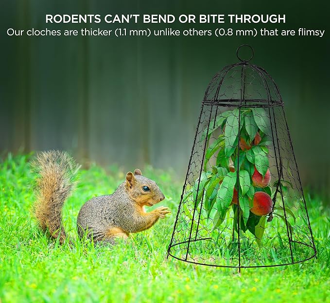 boldworks Garden Cloches for Plants Chicken Wire Cages to Protect from Animals Outdoor Extra Large Rustproof Thicker and Finer Mesh 12" x 20" Pack of 12