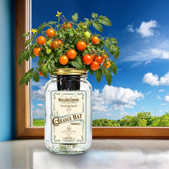 Orange Hat Micro Tomato Indoor Garden Kit – Mason Jar Hydroponic Tomato Grow Kit – Windowsill Countertop Tomato Planter – Grow Orange Cherry Tomatoes Indoors