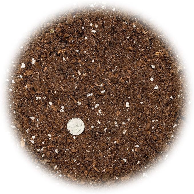 GARDENERA Money Tree Potting Soil Mix for Planting or Repotting Guiana Chestnut, Soil Blended to Properly Grow Money Tree Plants (2 Quart Bag)