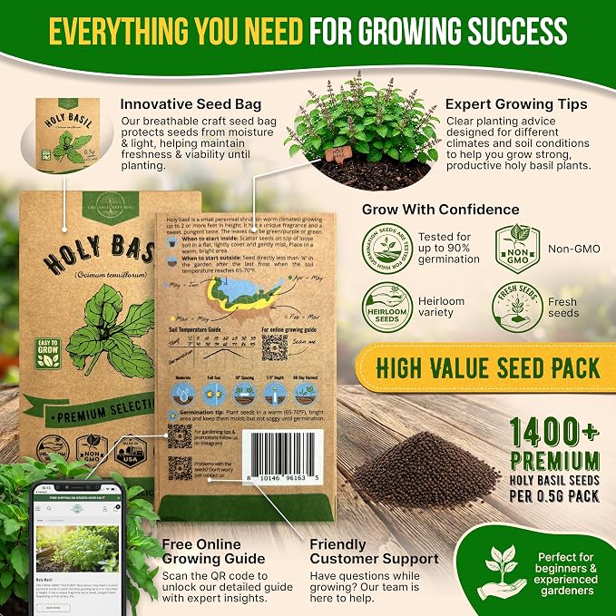 Organo Republic Holy Basil Seeds Pack 0.5 G - Over 1,400 Non-GMO Heirloom Basil Seeds for Planting Herbs in Individual Seed Packet, Herbs Seeds for Planting Home Garden Indoor & Outdoor Gardening