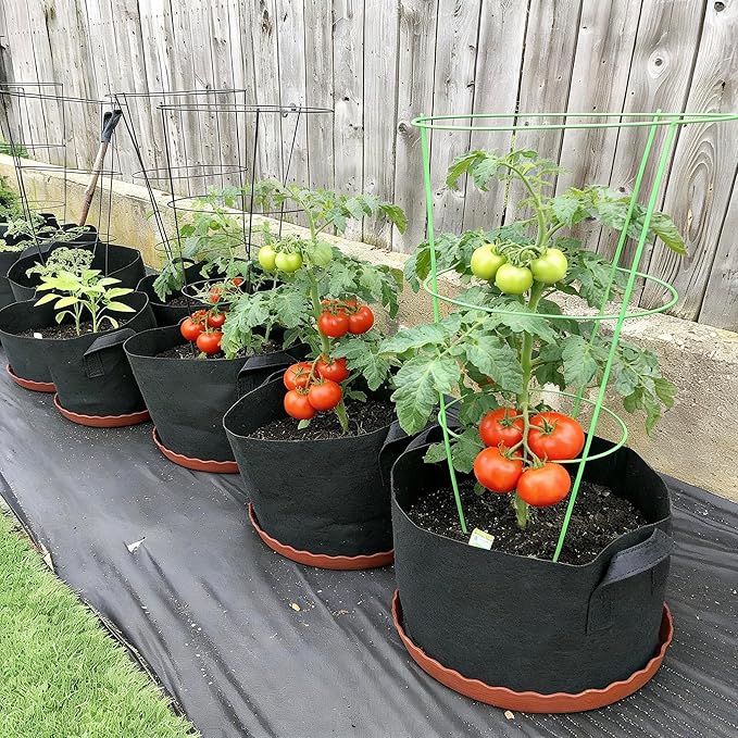 ORIMERC 4 Pack Grow Bags 5 Gallon for Growing Strawberry Tomato Self Watering Planter Fabric Plant Grow Bag Come with Plastic Plant Saucer 300G Thickened Garden Pots to Grow Vegetables, Fruit, Flower