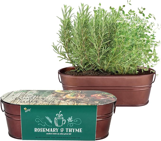 Buzzy Seeds Rosemary & Thyme Herb Grow Kit - Metal Windowsill Planter - Complete Indoor Gardening Kit with Seeds, Coconut Husk Growing Medium & Genuine Pots - 100% Grow Guarantee
