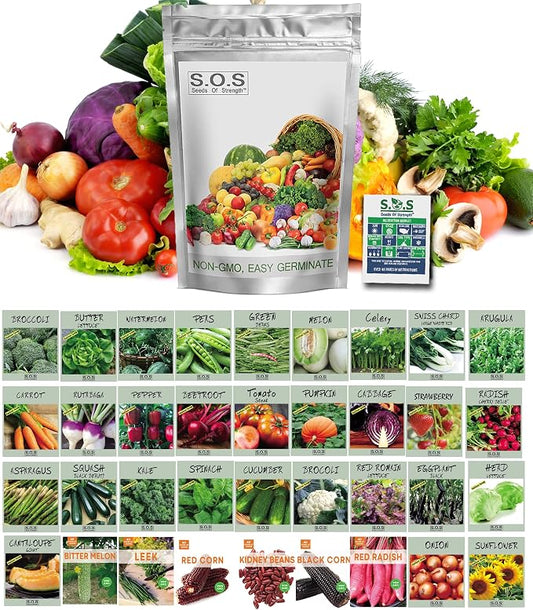 12,500+ Vegetable Fruit Seeds for a Bountiful Garden: 40 Heirloom Varieties, Non-GMO, Indoors, Outdoors, or Hydroponically, Mega Vegetable Seed Kit