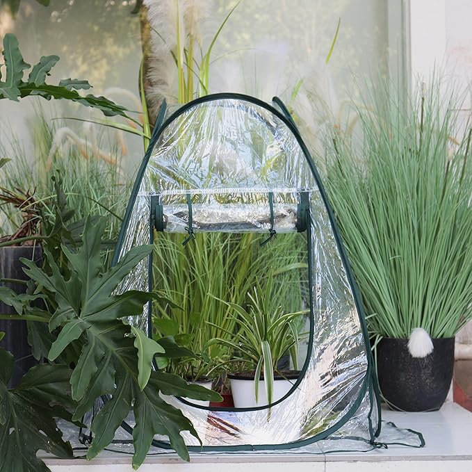 Gardzen 27"x27"x31" Pop up Grow Greenhouse Small Greenhouse, Steel Frame Portable Plant Flowers Mini Green House Zipper Cover for Outdoor & Indoor Use