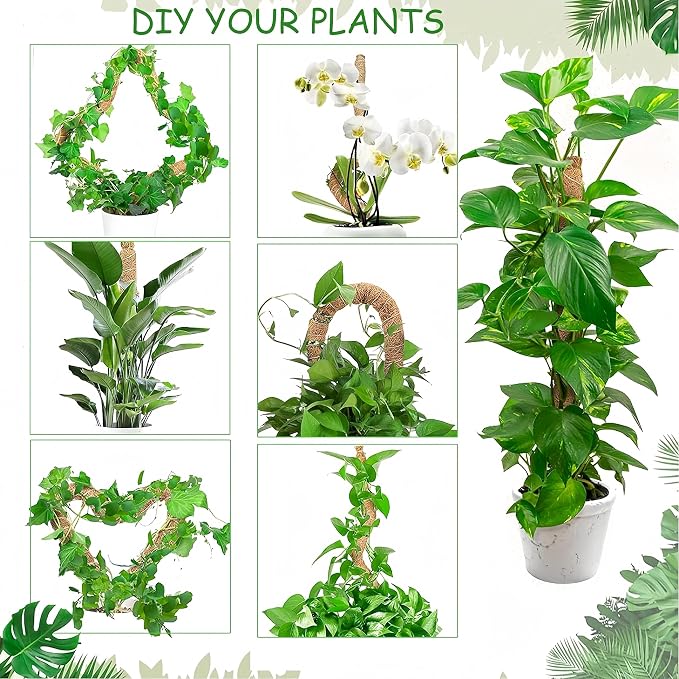 Moss Pole,28'' Moss Pole Monstera Plant Support. (2×28 Inch)