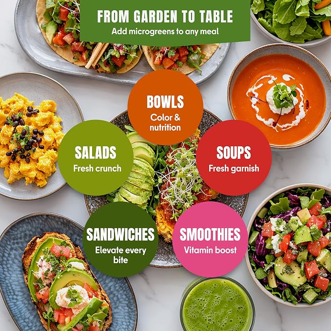 SproutMe Microgreens & Sprouting Seeds Variety Pack – 10 Varieties for Indoor & Outdoor Growing, Non-GMO Heirloom – Arugula, Beet, Basil, Broccoli, Cabbage, Kale, Mustard, Pea, Radish, Spinach