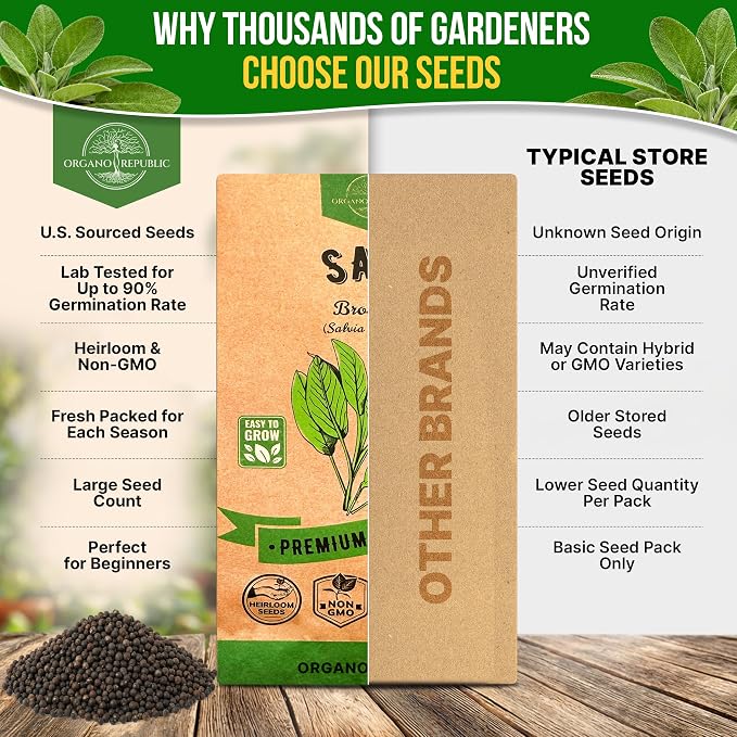 Sage Seeds Pack 1.5 G - Over 250 Non-GMO Heirloom Sage Seeds for Planting Herbs in Individual Seed Packet, Herbs Seeds for Planting Home Garden Indoor & Outdoor Gardening