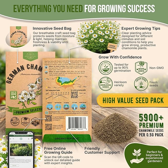 Organo Republic German Chamomile Seeds Pack 0.5 G - Over 5,900 Non-GMO Heirloom Chamomile Seeds for Planting Herbs in Individual Seed Packet, Herbs Seeds for Planting Home Indoor & Outdoor Gardening