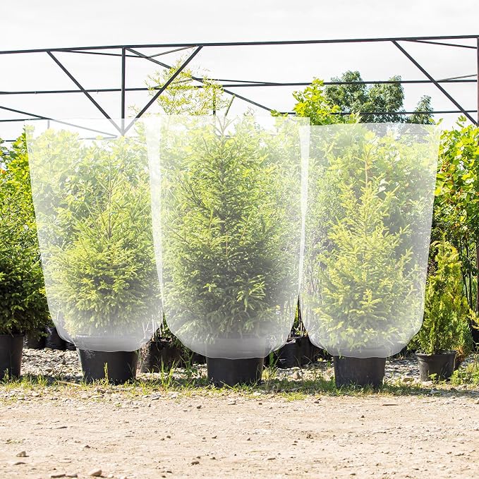 6 Pcs Winter Plant Covers Freeze Protection Small Plastic Clear Film Cover Shelter Bags Waterproof Frost Cloth for Outdoor Plants Greenhouse Garden Rain Frost Protection(39.4 x 59 Inch)