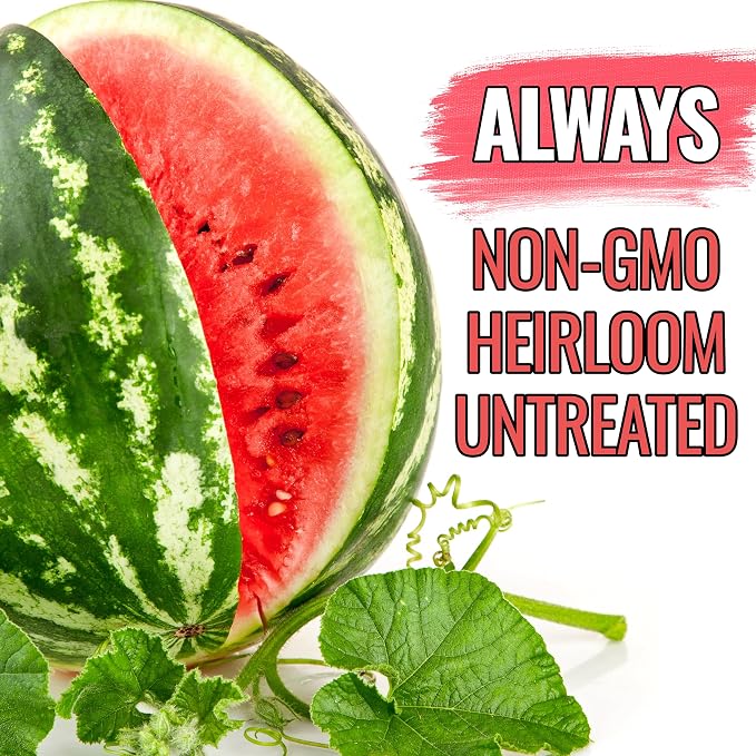 Seed Needs Watermelon Seeds for Planting Crimson Sweet Watermelons - Non-GMO Heirloom & Untreated - Grow an Outdoor Home Grown Garden Filled with Sweet Fruits (1 Pack)