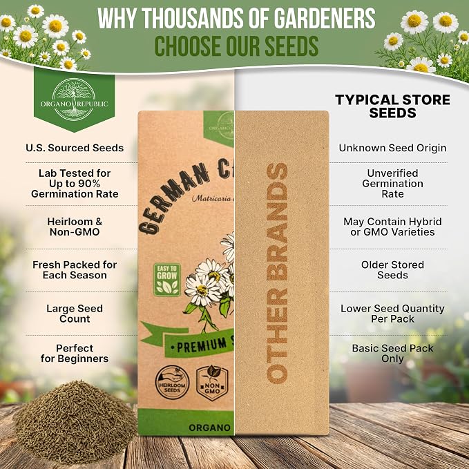 Organo Republic German Chamomile Seeds Pack 0.5 G - Over 5,900 Non-GMO Heirloom Chamomile Seeds for Planting Herbs in Individual Seed Packet, Herbs Seeds for Planting Home Indoor & Outdoor Gardening