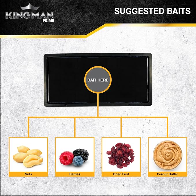 Rat Mouse Rodent Pest Glue Trap (Large Size) Tray Heavy Duty (5 Pack/ 10 Traps) with Connectors