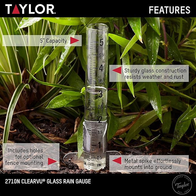 Taylor Rain Gauge Outdoor Glass 5 Inch Capacity - 2 Piece Set with Metal Ground Spike, Easy-Read Measurement Increments, Weather Resistant