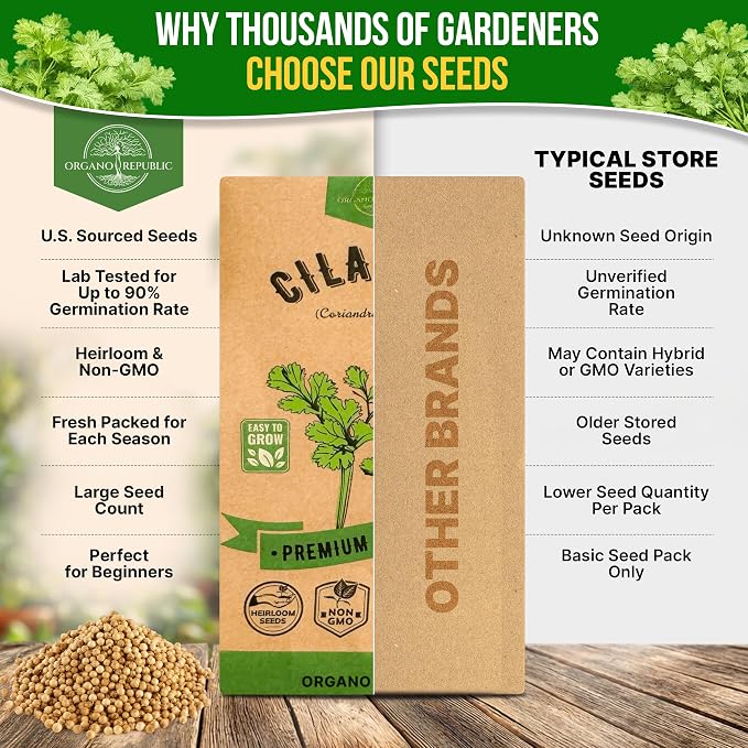 Cilantro Seeds Pack 5 G - Over 550 Non-GMO Heirloom Cilantro Seeds for Planting Herbs in Individual Seed Packet, Herb Seeds for Planting Home Garden Indoor & Outdoor Gardening