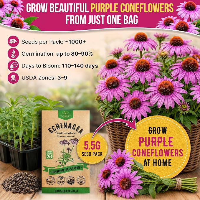 Organo Republic Echinacea Seeds Pack 5.5 G - Over 1000 Non-GMO Heirloom Echinacea Seeds for Planting Herbs in Individual Seed Packet, Herbs Seeds for Planting Home Garden Indoor & Outdoor Gardening