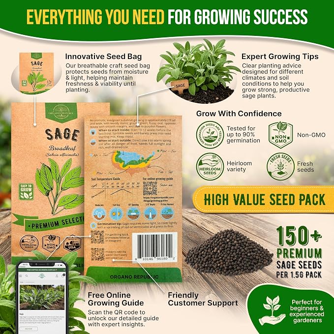 Sage Seeds Pack 1.5 G - Over 250 Non-GMO Heirloom Sage Seeds for Planting Herbs in Individual Seed Packet, Herbs Seeds for Planting Home Garden Indoor & Outdoor Gardening