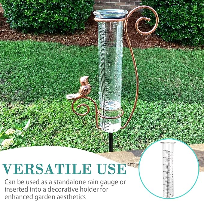 Glass Rain Gauge, 8.25 x 2.25 Inches, 7 Inch Capacity, Clear Tube with Measurement Markings