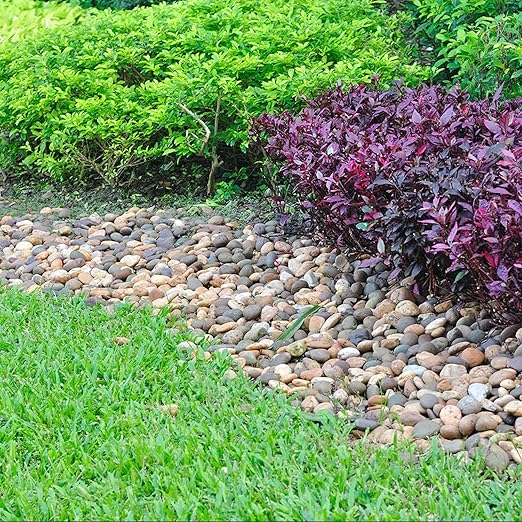 Pulovin 40 lbs River Rocks for Landscaping, 2"-3" Decorative Garden Stones for Plants, Flower Pots, Vase, Walkways, Yard, Natural Rocks for Aquarium, Fish Tank