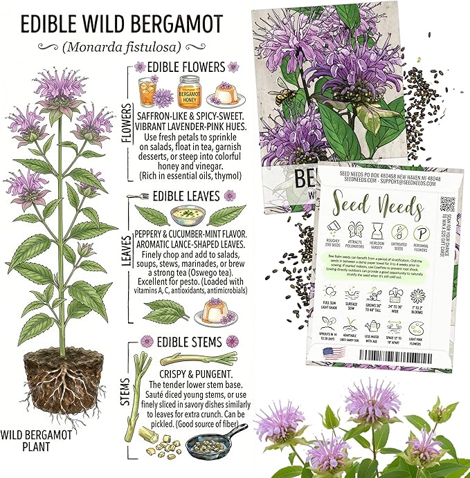 Seed Needs Edible Wildflower Seed Packet Collection (7 Varieties of Flower Seed for Planting) Non-GMO Heirloom & Untreated - Includes Viola, Pansies, Chives, Borage, Calendula, Nasturtium & Bee Balm