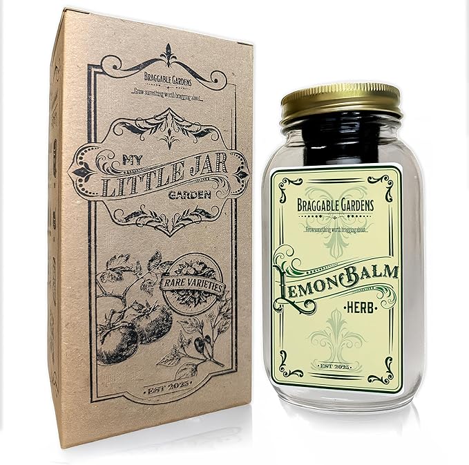 Lemon Balm Indoor Herb Garden Kit – Mason Jar Hydroponic Grow Kit – Windowsill Countertop Herb Planter – Grow Fresh Lemon Balm Indoors