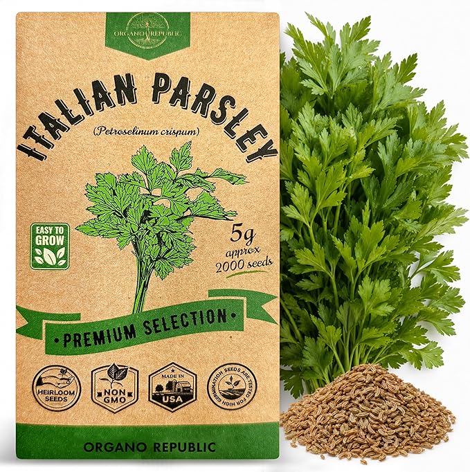 Organo Republic Italian Parsley Seeds Pack 5G - Over 2,000 Non-GMO Heirloom Parsley Seeds for Planting Herbs in Individual Seed Packet, Herbs Seeds for Planting Home Garden Indoor & Outdoor Gardening