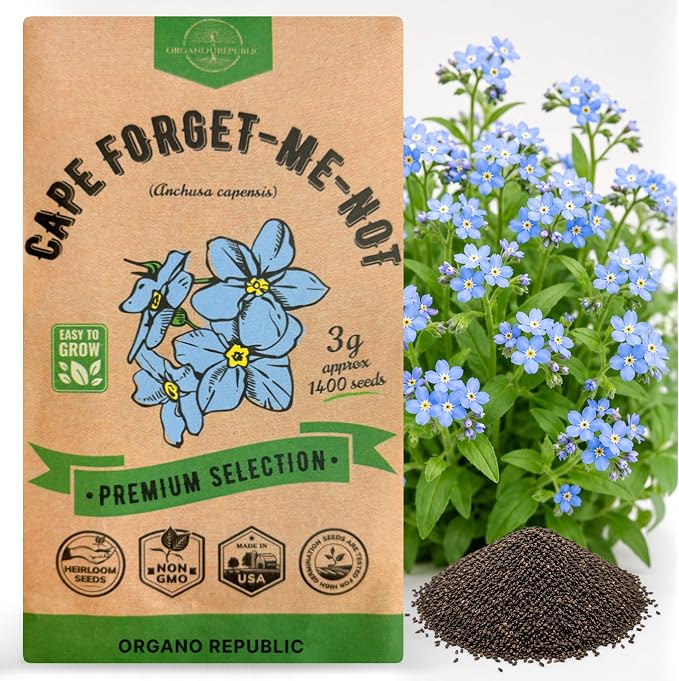 Cape Forget-Me-Not Seeds Pack 3G - Over 1,400 Non-GMO Heirloom Cape Forget-Me-Not Seeds for Planting Flowers in Individual Seed Packet, Flower Seeds for Planting Home Garden Indoor & Outdoor Gardening