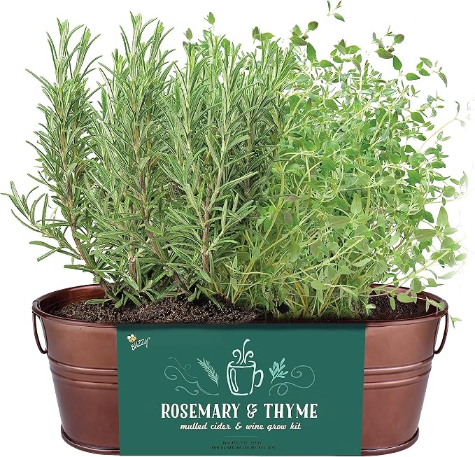 Buzzy Seeds Rosemary & Thyme Herb Grow Kit - Metal Windowsill Planter - Complete Indoor Gardening Kit with Seeds, Coconut Husk Growing Medium & Genuine Pots - 100% Grow Guarantee