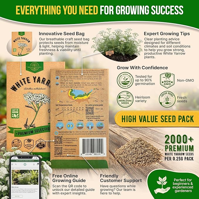 White Yarrow Seeds Pack 0.25 G - Over 2000 Non-GMO Heirloom Yarrow Seeds for Planting Herbs in Individual Seed Packet, Herbs Seeds for Planting Home Garden Indoor & Outdoor Gardening