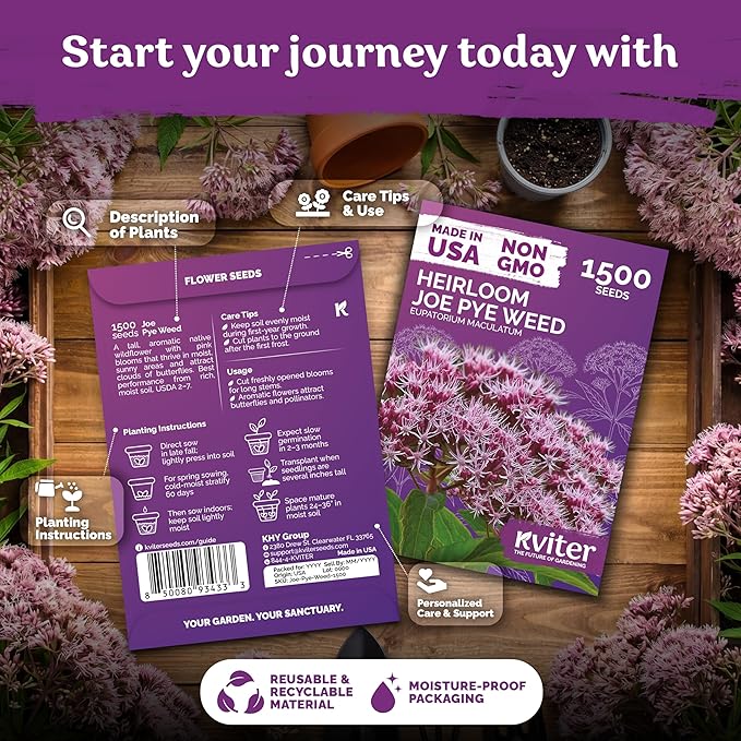 KVITER 1500 Joe Pye Weed Seeds (Eupatorium Maculatum) - Spotted Joe Pye Weed, Pink, Aromatic Wildflower, Butterfly Magnet - Perennial Flower Seeds in Seed Packets for Outdoor Flower Gardens