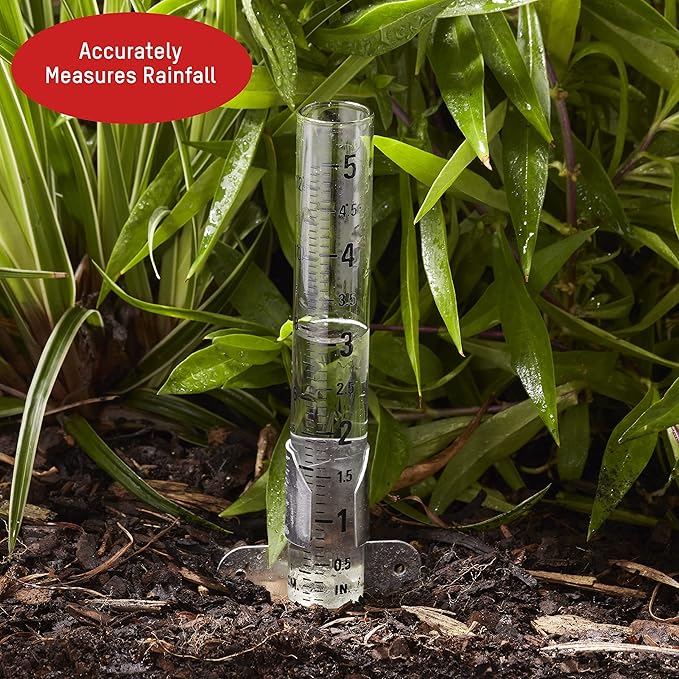 Taylor Rain Gauge Outdoor Glass 5 Inch Capacity - 2 Piece Set with Metal Ground Spike, Easy-Read Measurement Increments, Weather Resistant