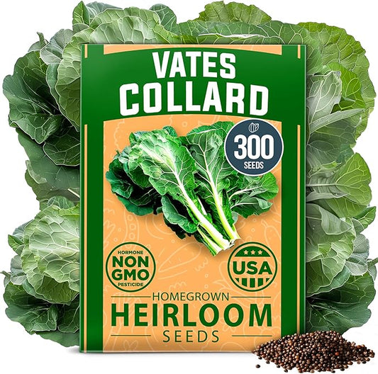 HOME GROWN Vates Collard Green Seeds Bulk Mix | 300+ Heirloom Non-GMO Seed for Fall & Winter Garden Planting | High Germination Frost Tolerant & Slow to Bolt | Nutritious Leafy Greens