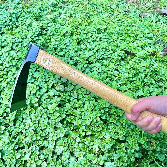 alanx 14 Inch Heavy Duty Wide Hoe, Japanese Carbon Steel with Oak Wooden Handle, Without Welding, Garden Tool for Digging, Weeding, and Planting