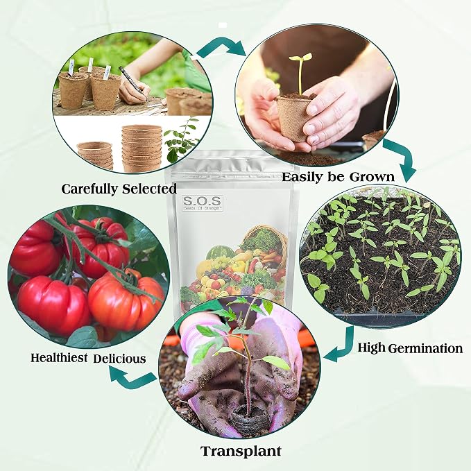 12,500+ Vegetable Fruit Seeds for a Bountiful Garden: 40 Heirloom Varieties, Non-GMO, Indoors, Outdoors, or Hydroponically, Mega Vegetable Seed Kit