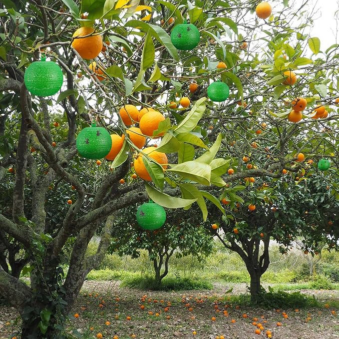 Qualirey 10 Pcs Sticky Fruit Fly Trap Ball Adhesive Fly Catching Ball Sticky Glue Fly Gnat Wasp Hornet Mosquito Bugs Flying Insects Trap Ball Traps (Green)